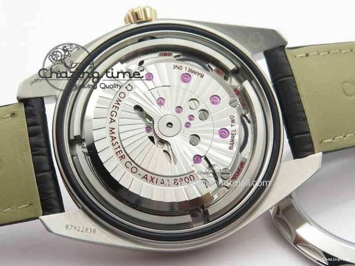 0509 2017 Aqua Terra SS RG XF Best Edition White Textured Dial On Black Leather Strap A Functional 8157